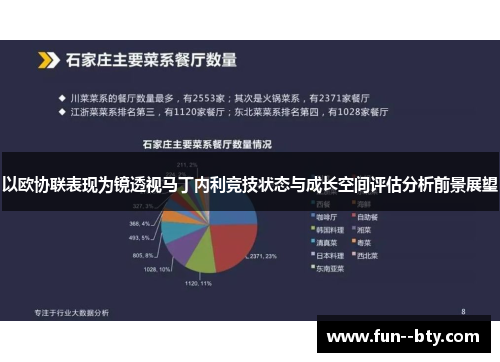 以欧协联表现为镜透视马丁内利竞技状态与成长空间评估分析前景展望